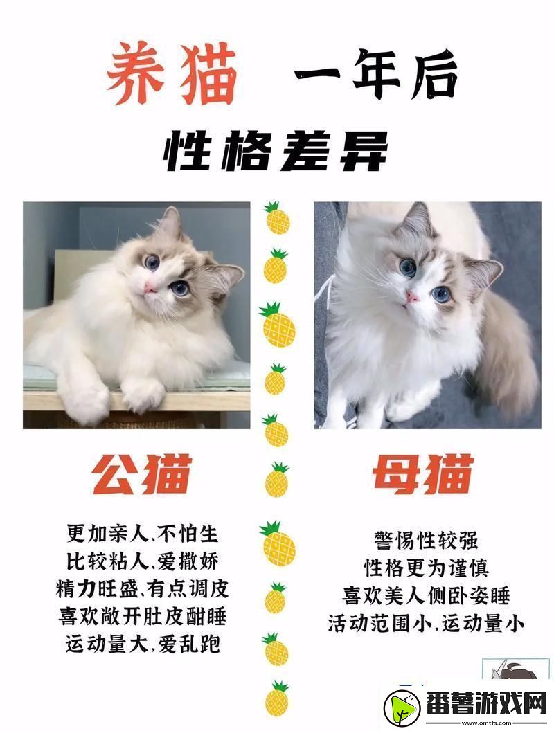 猫界翘楚大对决：猫咪3.0的逆袭-2.0版哭晕在厕所！