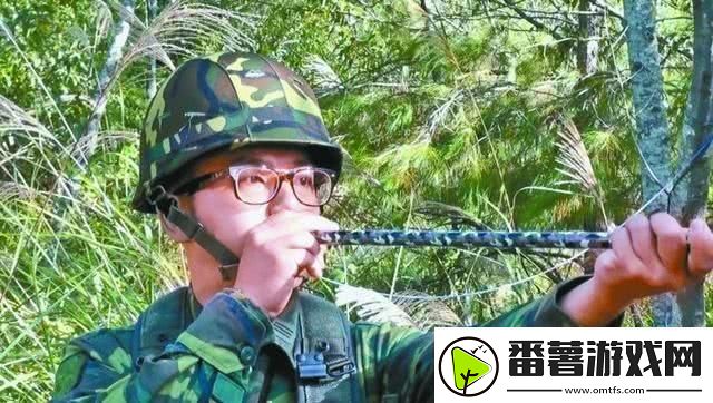 疯狂骑士团狩猎神器选择推荐：提升战斗力的最佳利器