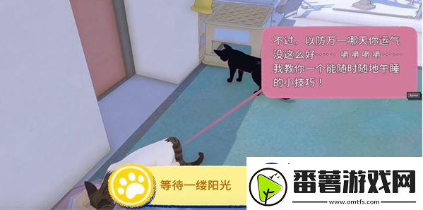 小猫咪大城市等待一缕阳光任务攻略