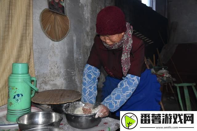 中国大妈户外烹饪奇迹：引人入胜的美食秀